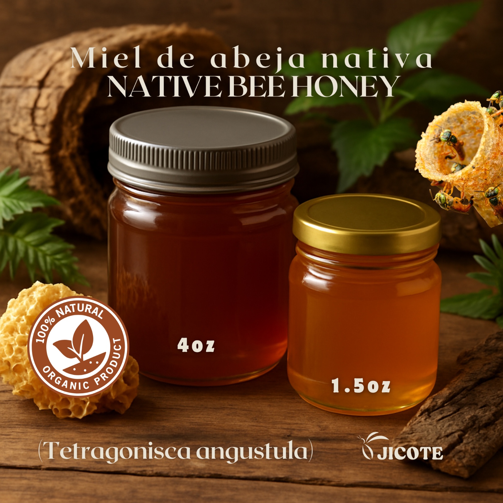 Native bee colony in Nicaragua